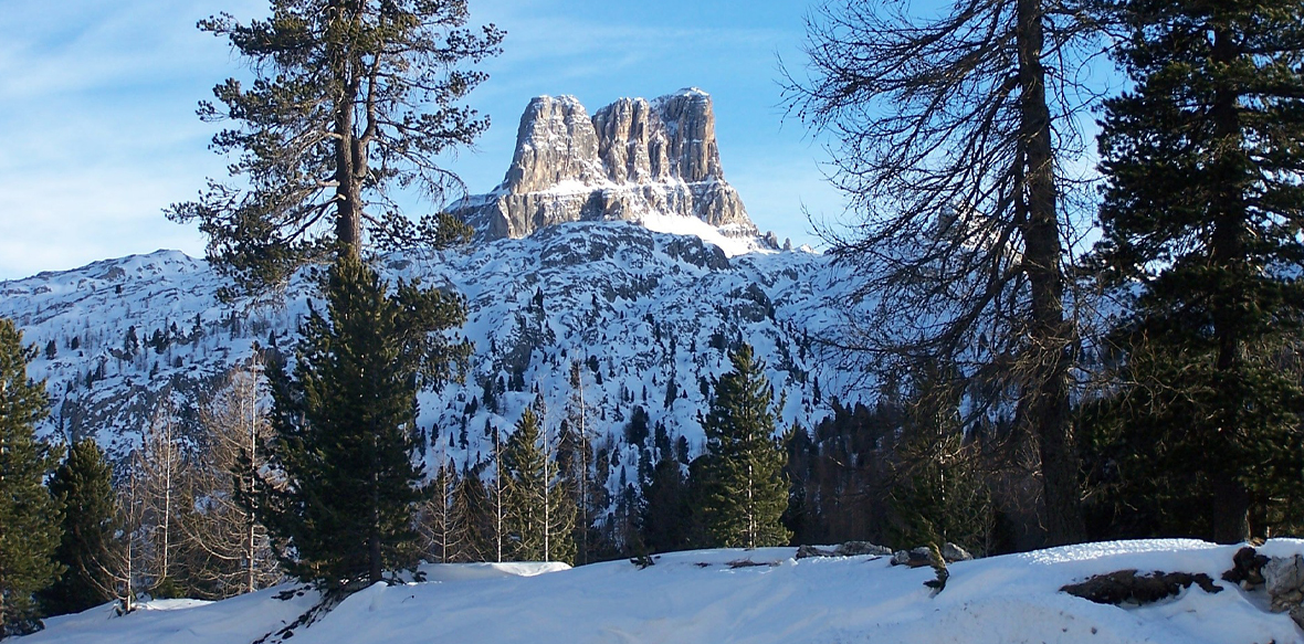 Annual Winter Meeting in Cortina